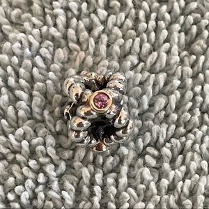 Pandora charm